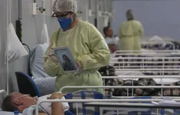 Mỹ Latin có thể trở thành "điểm nóng" COVID-19
