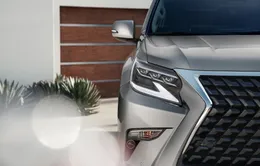 Lexus Việt Nam triệu hồi 749 xe để kiểm tra và thay thế bơm nhiên liệu