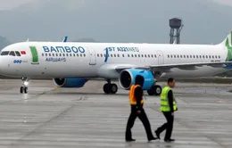 Bloomberg: Bamboo Airways thuê thêm máy bay, niêm yết vào quý 4