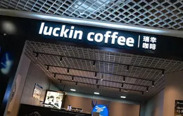 Luckin Coffee trước nguy cơ hủy niêm yết trên sàn Nasdaq