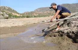 Tìm nguồn nước sạch ở vùng hạn Ninh Thuận: Rủi nhiều hơn may!