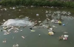Lò đốt rác 3 năm không xây được: Vướng mắc pháp lý hay vướng lòng dân?