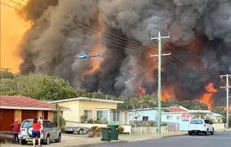 Australia: Khói từ thảm họa cháy rừng khiến nhiều người nhập viện vì bệnh tim phổi