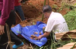 “Chưa tìm được hài cốt nhưng gia đình đã có thể thờ cúng liệt sỹ”