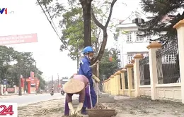 Có một người mẹ mang tên bà ngoại