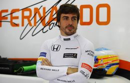 Người hâm mộ muốn Fernando Alonso trở lại F1