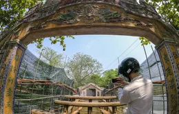 Cầu cổ và hiếm nhất Việt Nam được tháo dỡ để trùng tu