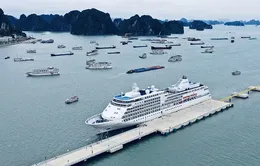 Năng lực cạnh tranh cấp tỉnh PCI 2019: Quảng Ninh đứng đầu, Lai Châu "đội sổ"
