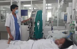 Hái nấm trên rẫy về ăn, 3 người ngộ độc nguy kịch