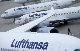 Hãng bay Lufthansa "đốt" 1 triệu USD mỗi giờ vì COVID-19