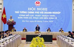 Thủ tướng: "Ví không có cảnh Đông tàn, thì đâu có cảnh huy hoàng ngày Xuân"