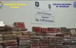 Colombia thu giữ lượng cocaine "khủng" trị giá 265 triệu USD trong các container