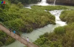 Đắk Lắk: phát động chương trình “người Việt Nam đi du lịch Việt Nam” tại Tây nguyên.