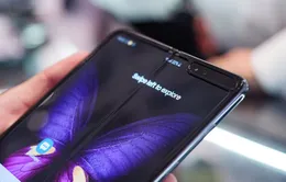 Galaxy Fold 2 sẽ không hỗ trợ S Pen do màn hình quá mỏng manh?