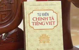 Từ điển chính tả thì vẫn có thể... mắc lỗi chính tả?