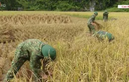 Thắt chặt tình quân dân nơi biên cương