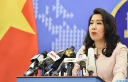 Việt Nam đang trao đổi để nối lại đi lại với Trung Quốc, Hàn Quốc, Nhật Bản