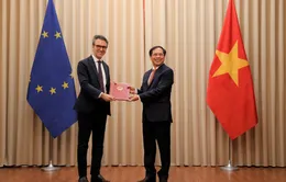 Việt Nam phối hợp với EU sớm đưa Hiệp định EVFTA có hiệu lực