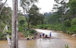 Một VĐV tử vong, BTC Dalat Ultra Trail hủy tất cả các cự ly thi đấu