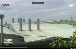 Lãnh đạo tỉnh Khánh Hòa sẽ kiểm tra nhà máy gây ô nhiễm khu dân cư