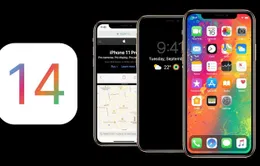 Những thiết bị nào hỗ trợ cập nhật lên iOS 14 và iPadOS 14?