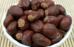 Hạt vải thiều: Thứ bỏ đi ở Việt Nam, bán tiền triệu tại nước ngoài
