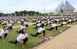 Gần 1.000 người đồng diễn nhân Ngày Quốc tế Yoga tại Ninh Thuận