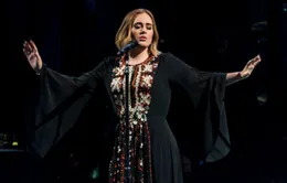 Adele không vội ra album mới