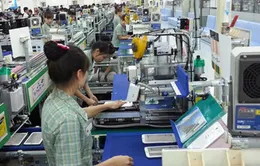 Đón sóng dịch chuyển FDI: Doanh nghiệp Việt làm gì để hưởng lợi?