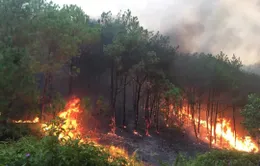 Trắng đêm dập lửa tại nhiều điểm cháy rừng ở Nghệ An, Hà Tĩnh