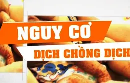 Có hay không nguy cơ dịch chồng dịch ở Việt Nam?