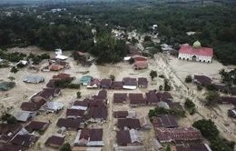 Lũ lụt gây thiệt hại nghiêm trọng tại Indonesia, ít nhất 36 người thiệt mạng