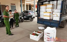 Hơn 3 tấn dâu tây không rõ nguồn gốc "tuồn" vào Đà Lạt