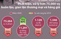 6 tháng năm 2020, xử lý hơn 75.000 vụ buôn lậu, gian lận thương mại và hàng giả