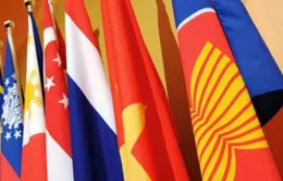 25 năm Việt Nam gia nhập ASEAN – dấu ấn đối ngoại đa phương