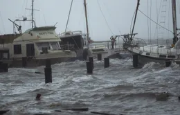 Bão nhiệt đới Hanna đe dọa gây ra lũ quét ở bờ biển Texas, Mỹ