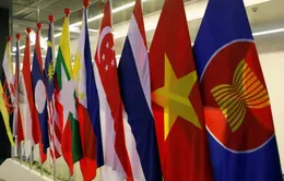 Campuchia đánh giá cao đóng góp của Việt Nam cho Năm ASEAN 2022