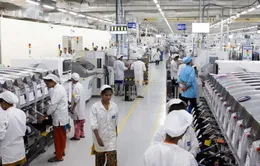 Hoạt động của Foxconn tại Ấn Độ bị gián đoạn do căng thẳng Trung - Ấn