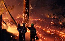 Hỏa hoạn thiêu rụi 40 ha rừng thông ở Pháp, nhiều người phải sơ tán
