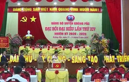 Giảm 5% số lượng cấp ủy viên: Biến quyết tâm thành hiện thực