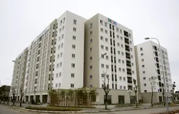 Giá dưới 10 triệu đồng/m2, nhà xã hội rẻ nhưng vẫn ế!