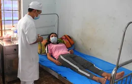 Bộ Y tế yêu cầu điều trị kháng sinh dự phòng để kiểm soát bệnh bạch hầu