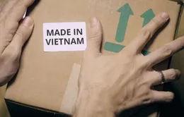 Gian lận C/O, "đội lốt" hàng Việt: Không thể lơ là!