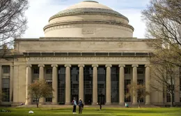 Đại học Harvard và M.I.T kiện chính quyền Mỹ về sắc lệnh mới đối với sinh viên quốc tế