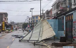 Bão Mekkhala đổ bộ vào miền Đông Trung Quốc, gây mưa to gió lớn