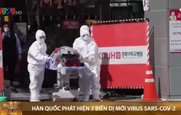 Hàn Quốc phát hiện 3 biến dị mới virus SARS-CoV-2