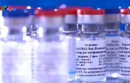 Vaccine Sputnit V – niềm hy vọng mới trong cuộc chiến chống CoVid-19