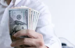 USD là đồng tiền trú ẩn an toàn nhất năm 2020