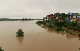 Lũ sông Thao qua đỉnh