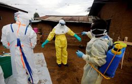 WHO thông báo 100 ca nhiễm Ebola ở miền Tây CHDC Congo